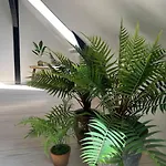 Penthouselejlighed Midt I Lägenhet *