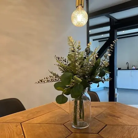 Penthouselejlighed Midt I Apartament