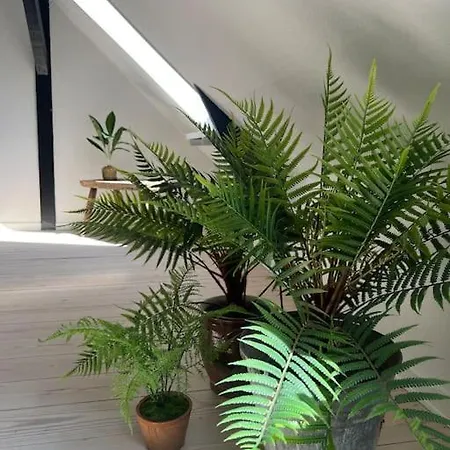 Penthouselejlighed Midt I Apartament *