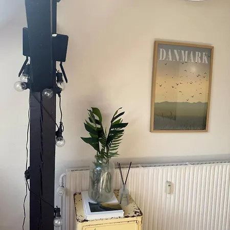 Penthouselejlighed Midt I Apartament Vejle